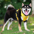 No Pull Large Dog Harness - Puppilor