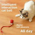 Rechargeable Smart Pet  Rolling Ball Toy - Puppilor