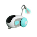 Electric cat toys - Puppilor