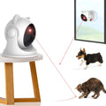 Activated Cat Laser Toy - Puppilor