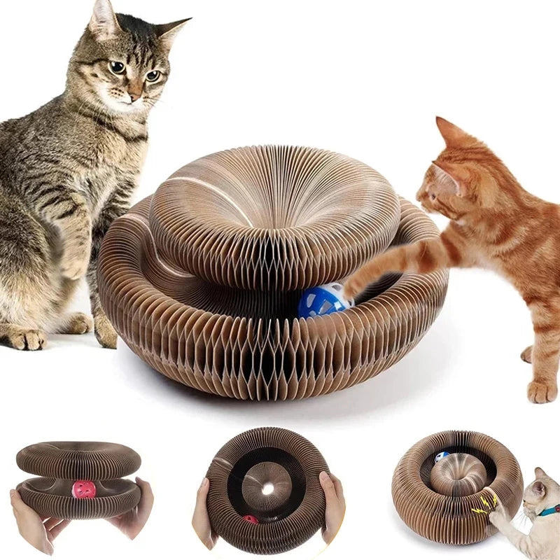 Magic Organ Cat Toy - Puppilor