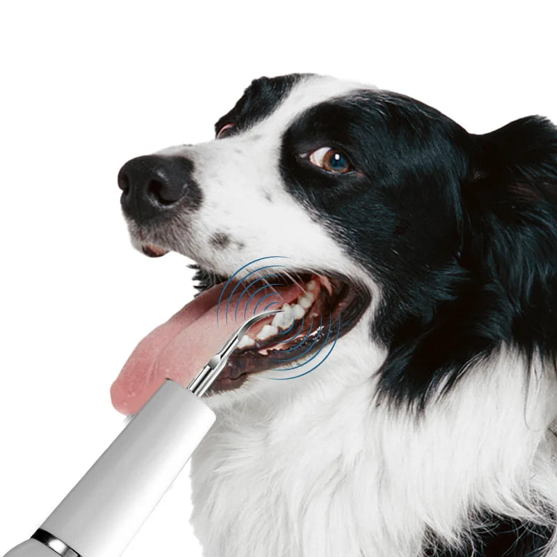 Dental Scaler for dogs - Puppilor