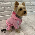 Adidog hoodie for small dogs and cats - Puppilor