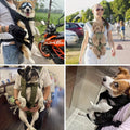 Pet Front Dog Carrier Backpack - Puppilor