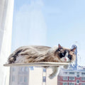 Cat Window Hammock - Puppilor