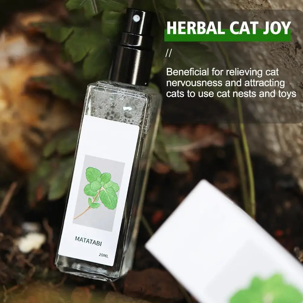 Celery Pets Catnip Spray Joy - Puppilor