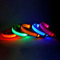 LED Dog Collar - Puppilor