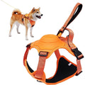 Dog Harness - Puppilor