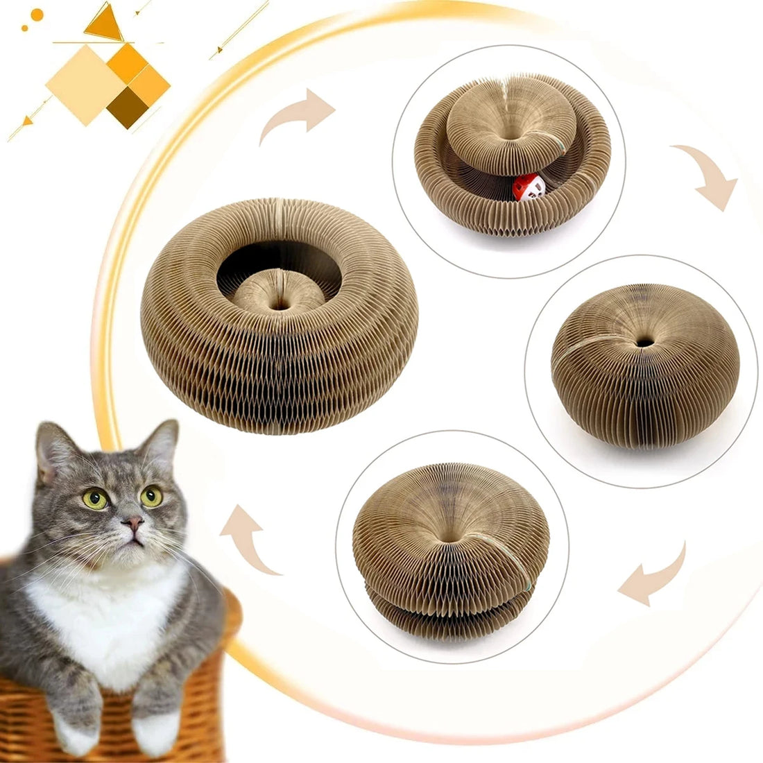 Magic Organ Cat Toy - Puppilor