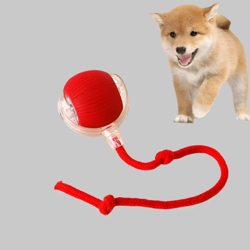 Rechargeable Smart Pet  Rolling Ball Toy - Puppilor