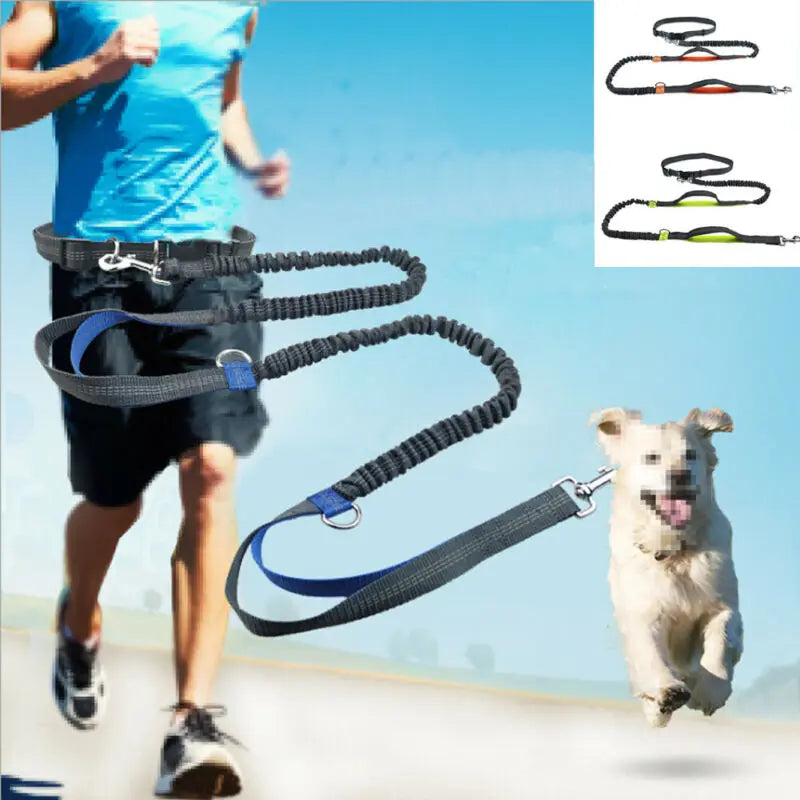 Reflective Leash Dog Running Elastic Belt - Puppilor