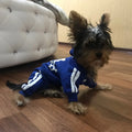 Adidog hoodie for small dogs and cats - Puppilor