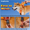 Dog Harness - Puppilor