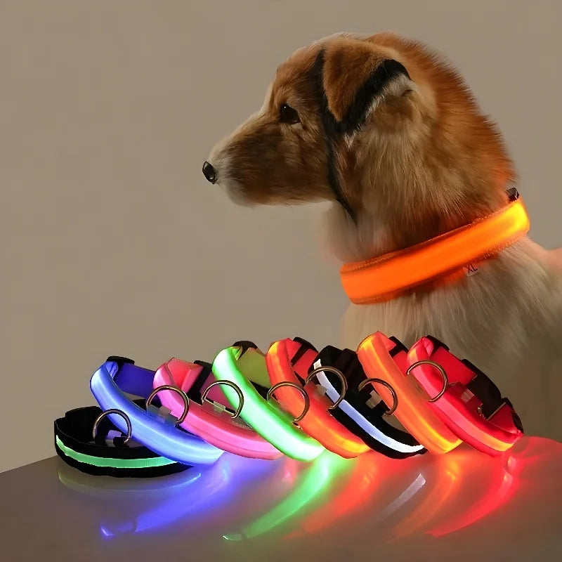 LED Dog Collar - Puppilor