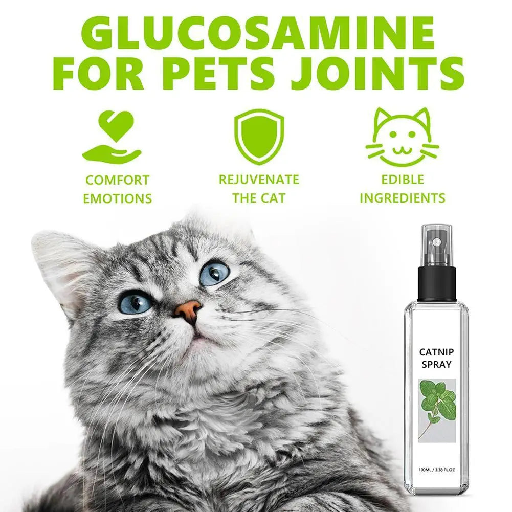 Celery Pets Catnip Spray Joy - Puppilor