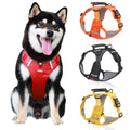 No Pull Large Dog Harness - Puppilor