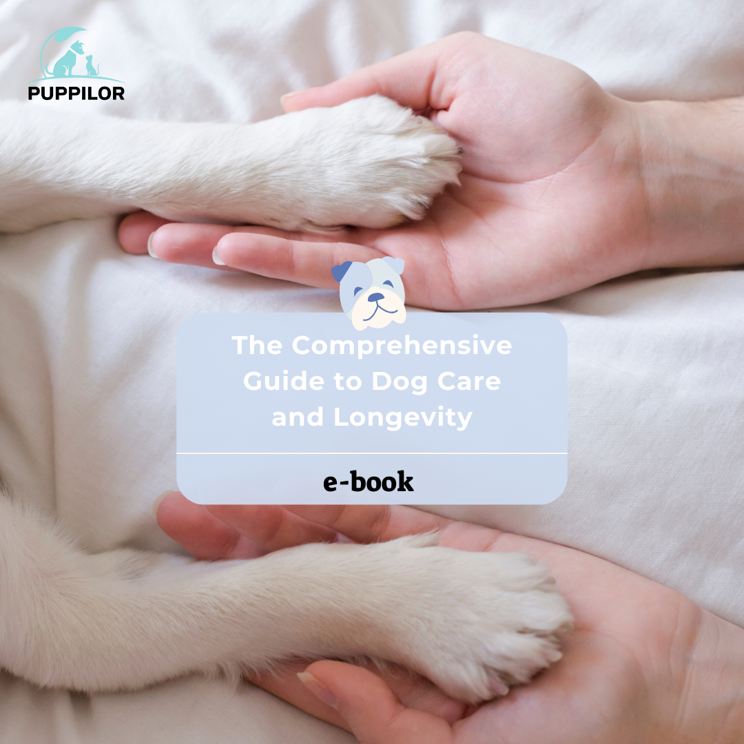 The Comprehensive Guide to Dog Care and Longevity - Puppilor