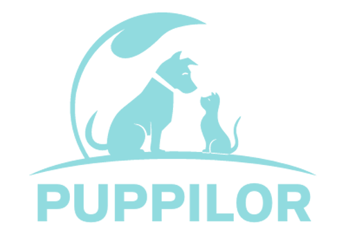 Puppilor